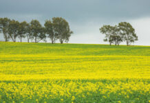 The Top 5 Benefits Of Using Agricultural Drones